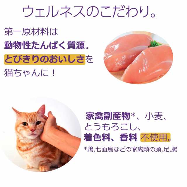 ウェルネス キャットフード 体重管理猫用 1歳以上 800ｇ 当社専売品の通販はau Pay マーケット アークランドオンライン Au Pay マーケット店