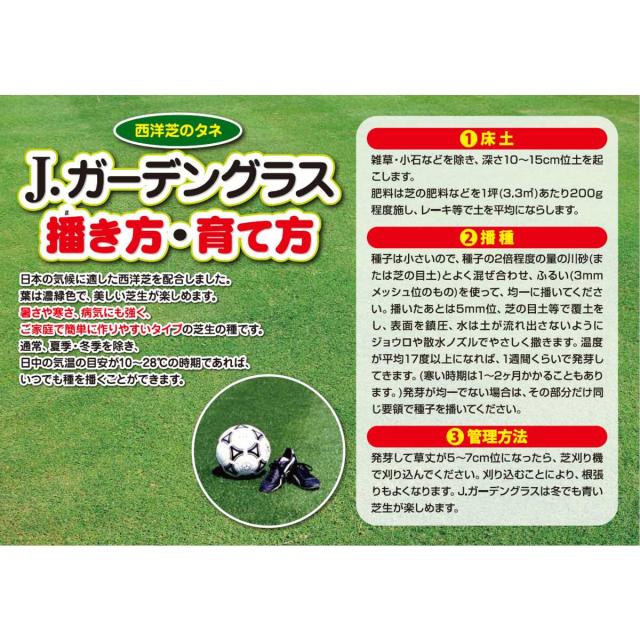カネコ種苗 西洋芝のタネ ｊガーデングラス 500ml 個 ケース販売 Clb014の通販はau Pay マーケット アークランドオンライン Au Pay マーケット支店