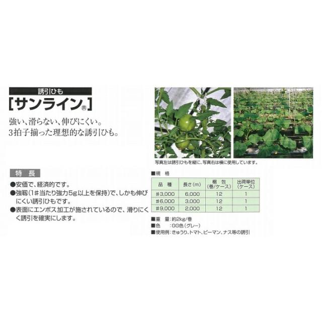 【法人限定】宇部エクシモ サンライン誘引ひも3000m巻12巻 #6000 【メーカー直送・代引不可・置配不可】_1