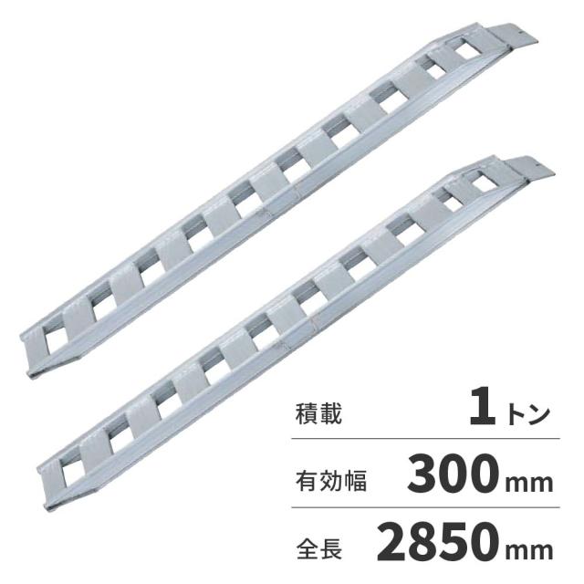【法人限定】日軽金アクト NFブリッジ 2本1セット（ベロ式フックタイプ） NF10-C9-30 【メーカー直送・代引不可・置配不可・配送地域限定】