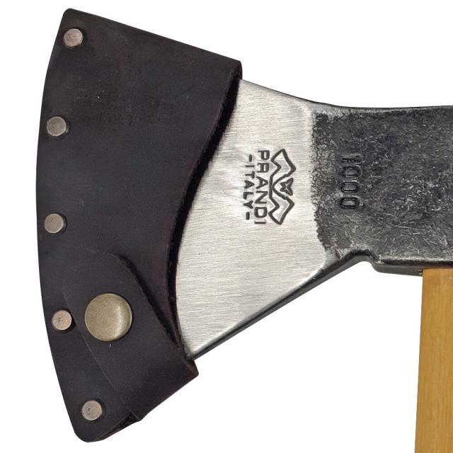 No.44 アガベ ートランカータ ライムストリーク 極上美株 No.44 アガベ