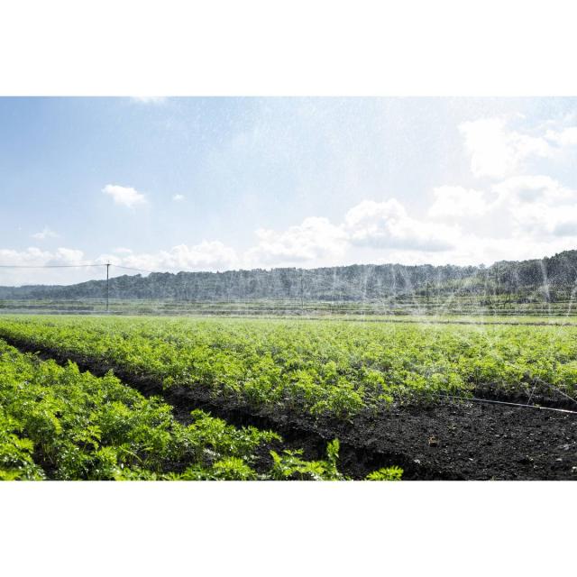 住化農業資材 スミレイン40 100m 潅水チューブ 灌水チューブ