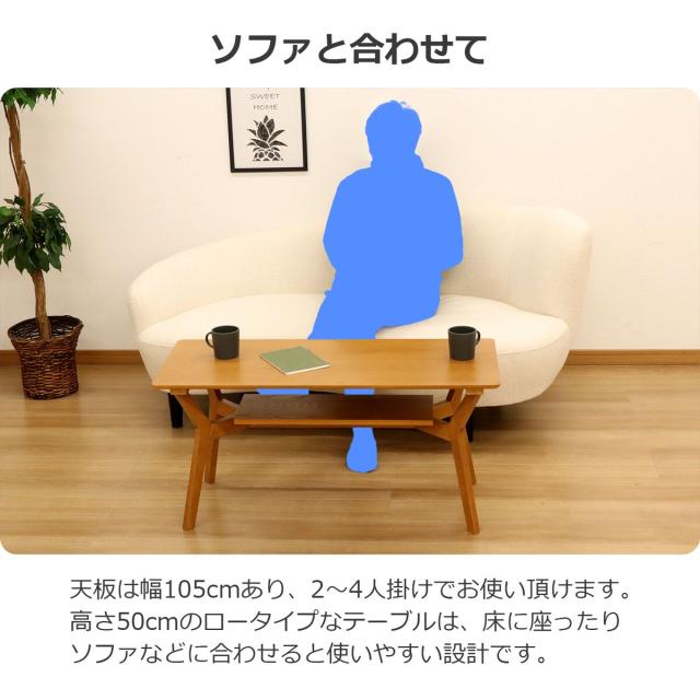 エイ・アイ・エス リビング速見表 105幅 ESD-L105 LBR 【製造会社直送・代引不可・置配不可】