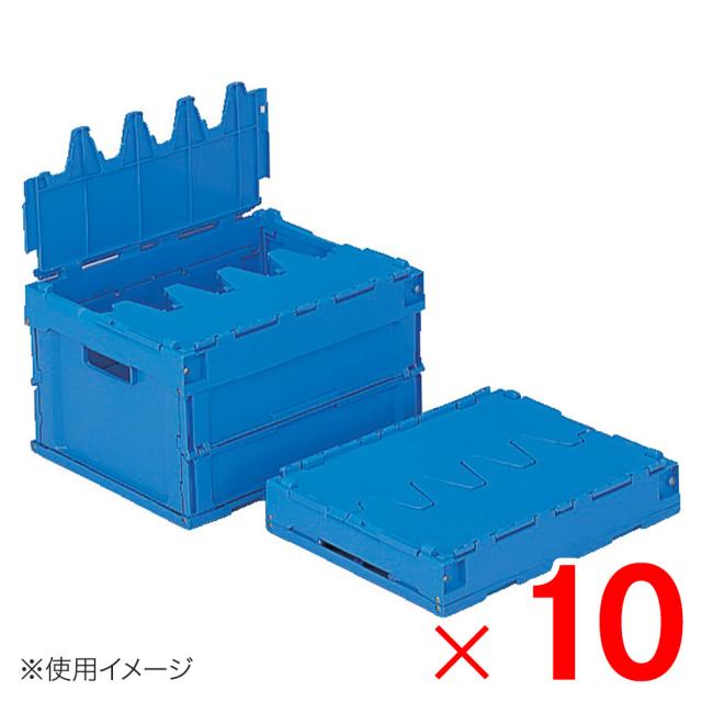 大額 油額 F10 シルバー 〔61.1×69.9×8cm〕 【北海道・沖縄・離島配送