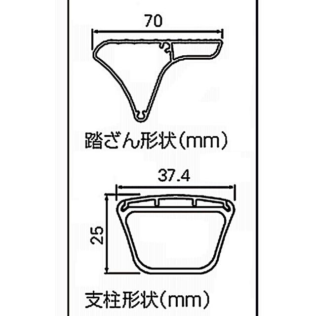 【法人限定】長谷川工業 踏台 高さ56cm ブラック SK2.0-06BK 【メーカー直送・代引不可・置配不可・配送地域限定】_1
