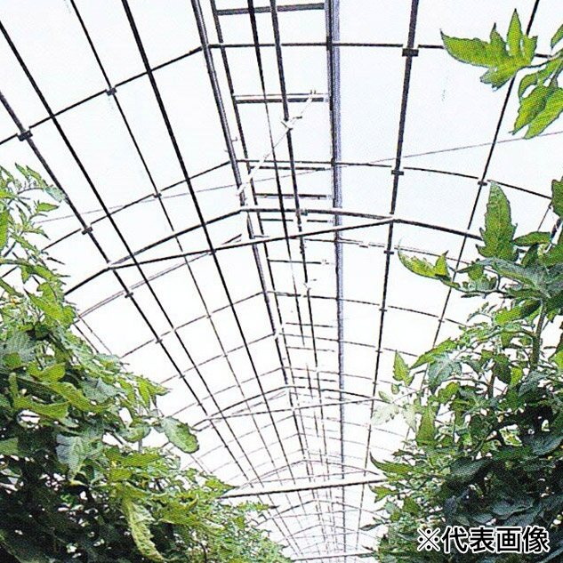 ダイヤスター 長期展張農POフィルム ビニールハウス屋根用 4間×3間 【メーカー直送・代引不可・置配不可】の通販は 26,595円