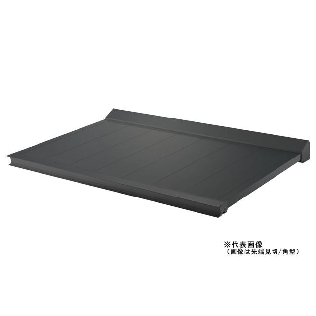 ダイケン アルミ庇 RSバイザー 900×2000 RS-K0920Z 【メーカー直送・代引不可・置配不可】