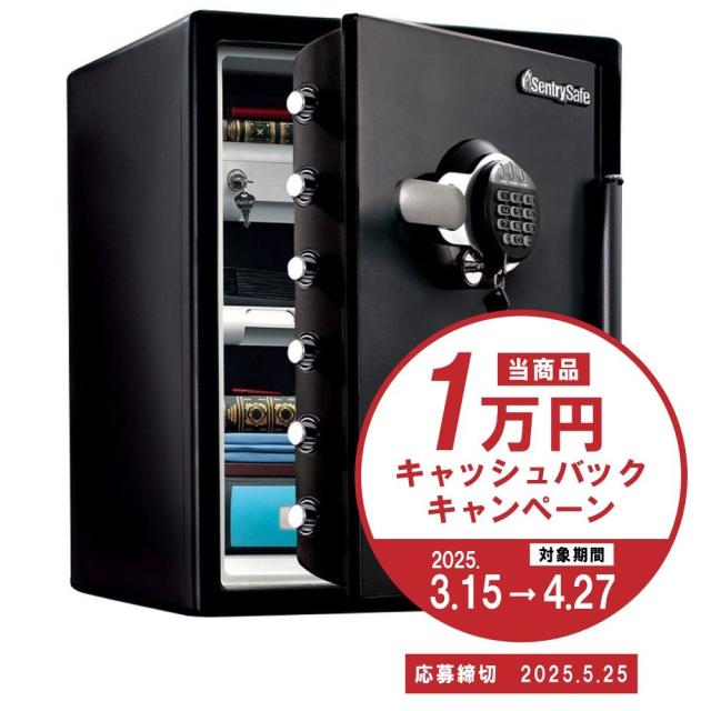 日本緑十字社 キーボックス 24個吊用 KB-24 ダイヤル錠 199024 1個