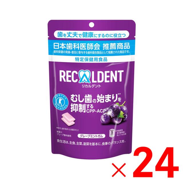 モンデリーズ・ジャパン リカルデント グレープミントガム スタンドパウチ 280g×24個 ケース販売 23,516円