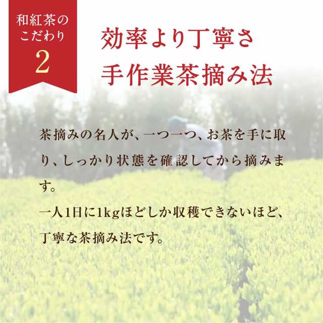 3袋セット】 天の製茶園 天の紅茶 リーフ 40ｇ無農薬 和紅茶 紅茶 水俣 国産 茶葉 おいしい 和食 和菓子 ティーバッグ 送料無料の通販はau  PAY マーケット - 雪のしずく au Wowma！店