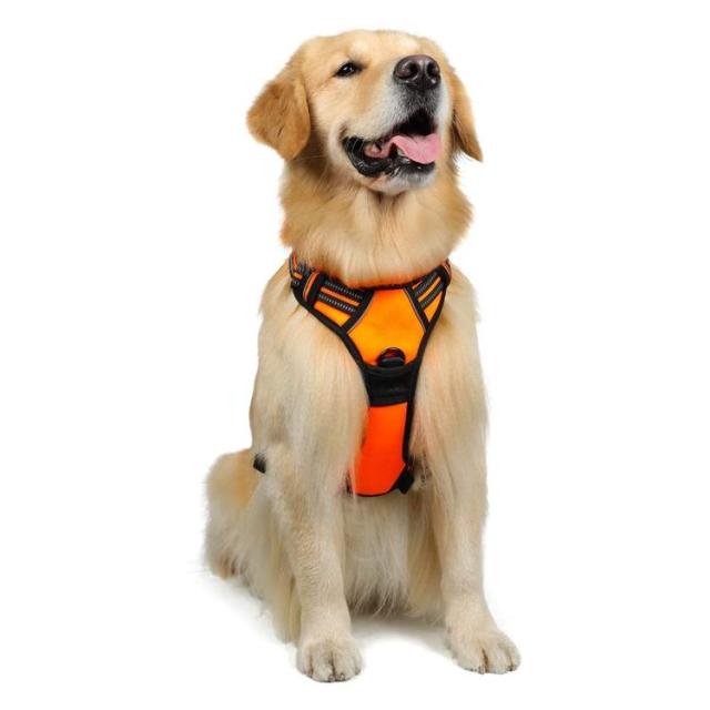 Rabbitgoo 犬 ハーネス 34 57kg 負担が少ない サイズ調整可 夜間反射 抜けない 通気性高 歩行補助 しつけ オレンジ Xlの通販はau Pay マーケット プレミアムセレクト