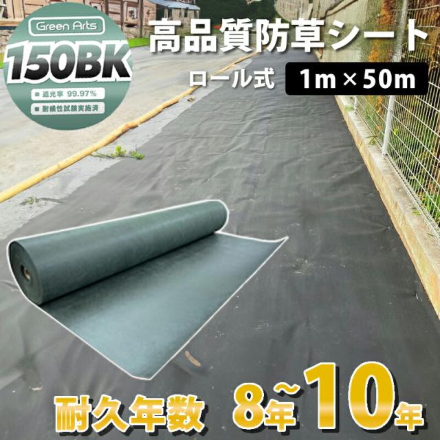 【kmtk専用】 KMS Manufacturer Engine Gasket QSK60 K38 K50 3171287