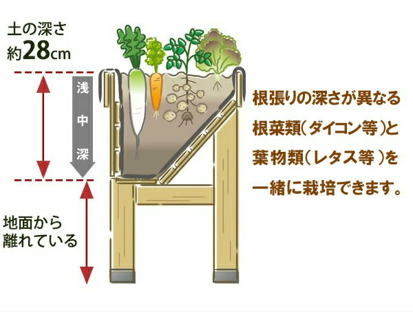 ベジトラグ ウォールハガー L VegTrug Wallhugger ガーデニング プランター 大型プランター 野菜栽培 家庭菜園 園芸用品 簡単設置 壁際設置 屋外 屋内 両用 高品質 耐久性 軽量 木製フレーム スタイリッシュ モダンデザイン 錆びにくい シンプルデザイン 多目的 送料無料_8