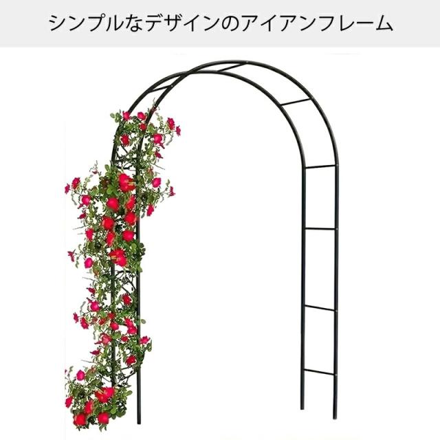植物 大型 ガーデンアーチ 大型 ガーデン アーチ ローズ フラワー