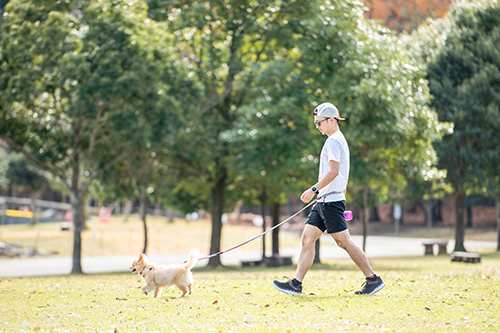 イージードッグ ロードランナー ライト バブルガム 犬用 リード 腰に巻く 犬 散歩 ハンズフリー ランニング 小型犬 中型犬 Ezydogの通販はau Pay マーケット メルランド