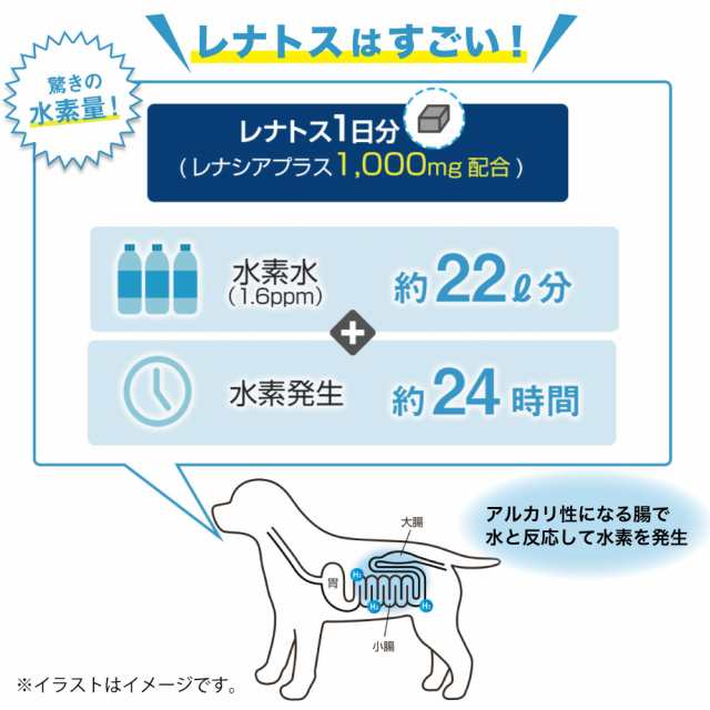 レナトス プロショップ 全犬用 水素 サプリメント 30粒 犬 サプリ 皮ふ ...