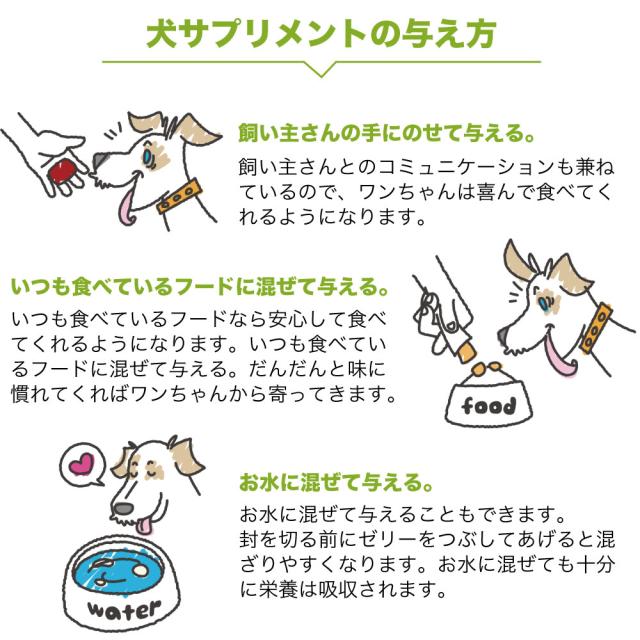 犬サプリメント 腸内環境の健康維持に チーズ味 15本入 犬 サプリ スティックゼリー 犬用 サプリメント 整腸 乳酸菌 善玉菌 国産の通販はau Pay マーケット メルランド