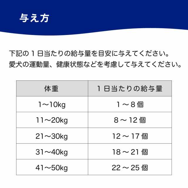 フィッシュ4  シージャーキーティドラー　575g