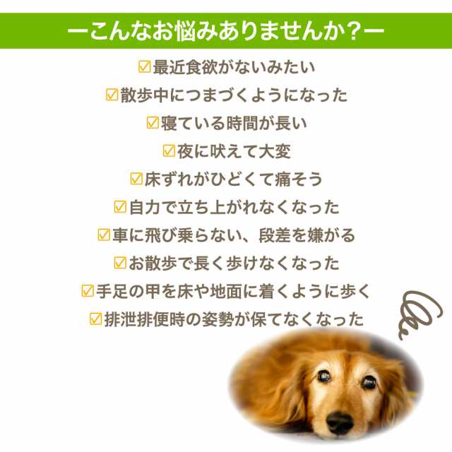 犬潤 300g 犬 猫 ペット サプリメント コラーゲン ペプチド 天然 低分子 皮膚 被毛 関節 軟骨 無香料 保存料不使用 国産 いぬじゅんの通販はau  PAY マーケット - メルランド | au PAY マーケット－通販サイト