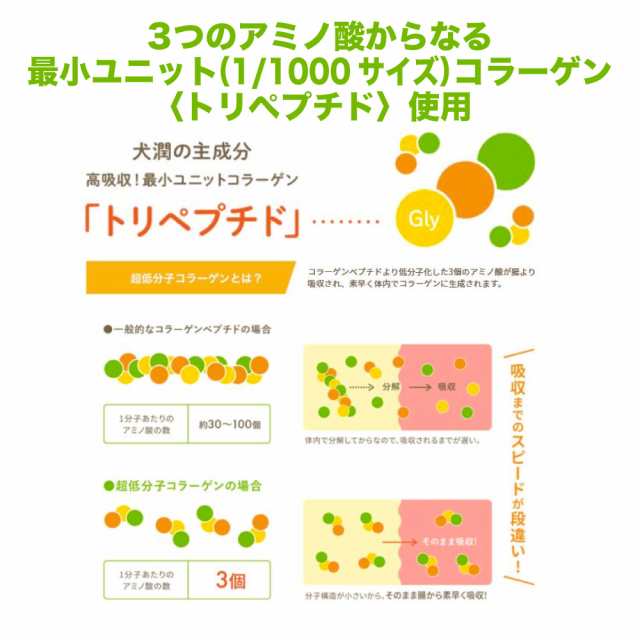 犬潤 300g 犬 猫 ペット サプリメント コラーゲン ペプチド 天然 低分子 皮膚 被毛 関節 軟骨 無香料 保存料不使用 国産 いぬじゅんの通販はau  PAY マーケット - メルランド | au PAY マーケット－通販サイト