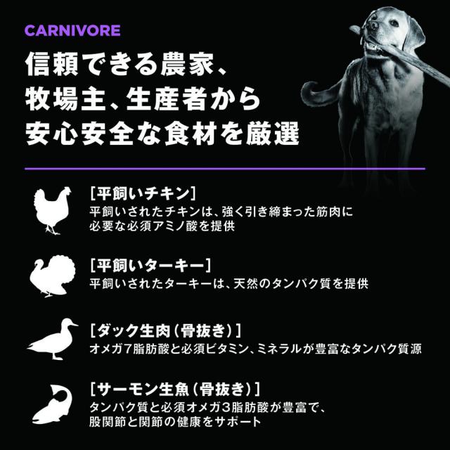 GO! ゴー カーニボア シニア グレインフリー チキン、ターキー＋ダックレシピ 9.98kg 中粒 犬 犬用フード ドッグフード ドライ 無添加_6