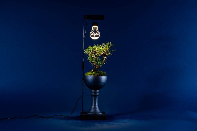 Luche ルーチェ Ledスタンドライト コンストレイション 植物が育つ インテリア雑貨 お部屋 植物栽培用 おしゃれの通販はau Pay マーケット Anniversary World