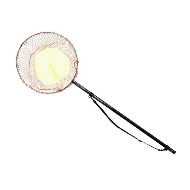 ダイワ 23プログランド磯玉網 50-50・W