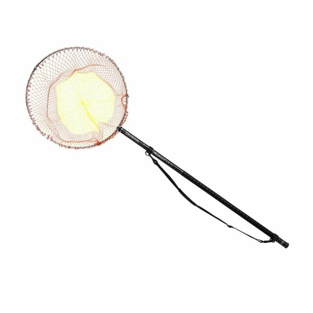 ダイワ 23プログランド磯玉網 50-55・W