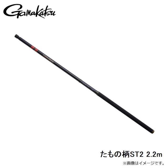 がまかつ がまかつ たもの柄 STII 2.2m