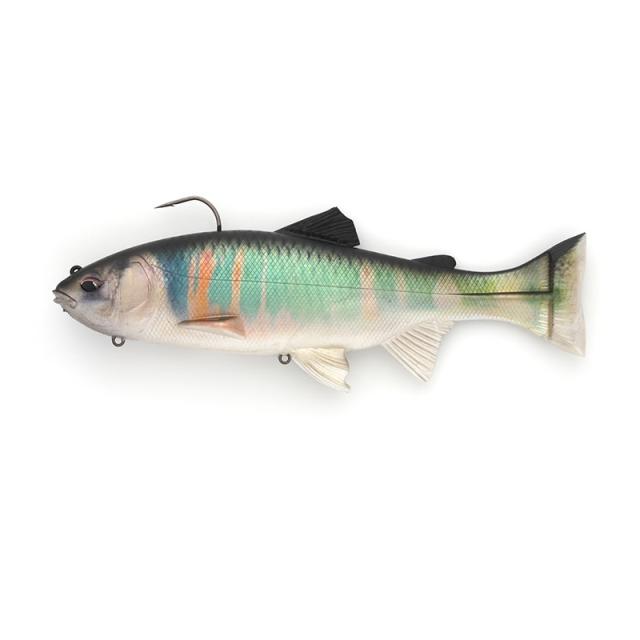 イマカツ レイジースイマー9 3DR #S-510 3DR婚姻ハス♂