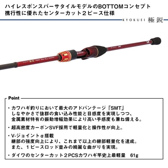 ダイワ 極鋭カワハギRT BOTTOM-2