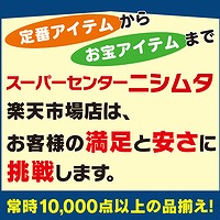 日清 カップヌードル ビッグ 101g×12個 ラーメン