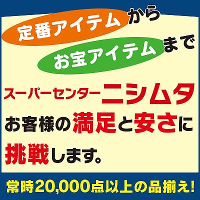 三共コーポレーション　スプレーガンセット 吸上式 DI-S4