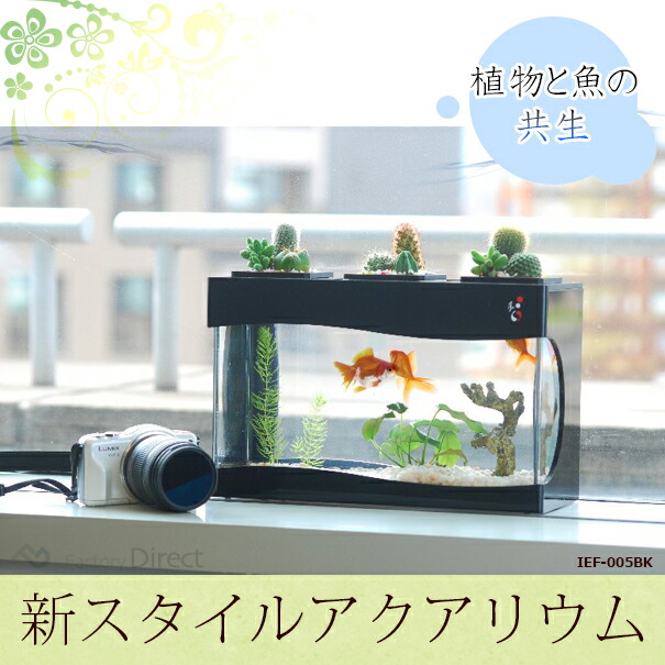 Ief 005bk アクアリウム水槽ブラックベース 着脱式ledライト付水槽 熟練した職人の手作り品 ハンドメイド 水槽 インテリア ガーデニング の通販はau Pay マーケット ファクトリーダイレクトjapan