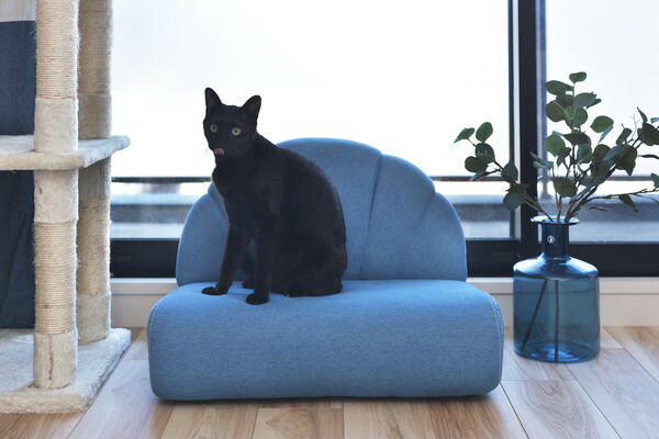 AZUMAYA ペット ソファ PET-65 完成品 W59×D50×H40×SH18 送料無料_3