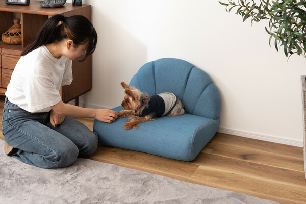 AZUMAYA ペット ソファ PET-65 完成品 W59×D50×H40×SH18 送料無料_4