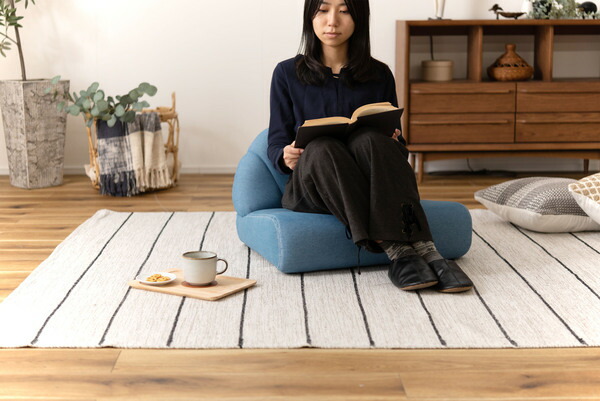 AZUMAYA ペット ソファ PET-65 完成品 W59×D50×H40×SH18 送料無料_5
