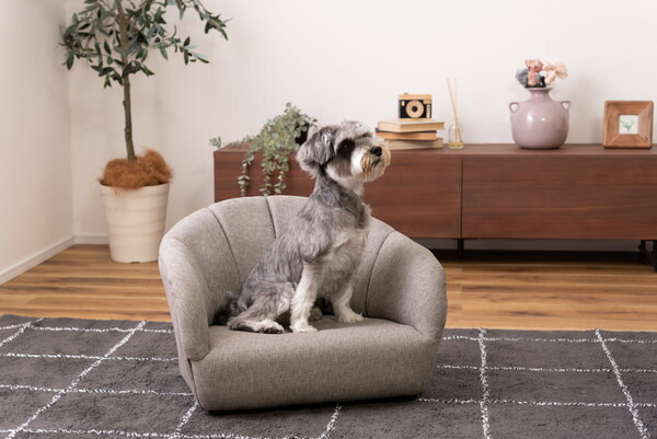 AZUMAYA ペットソファ PET-71GY 完成品 約W55×D50×H37×SH15.5  送料無料