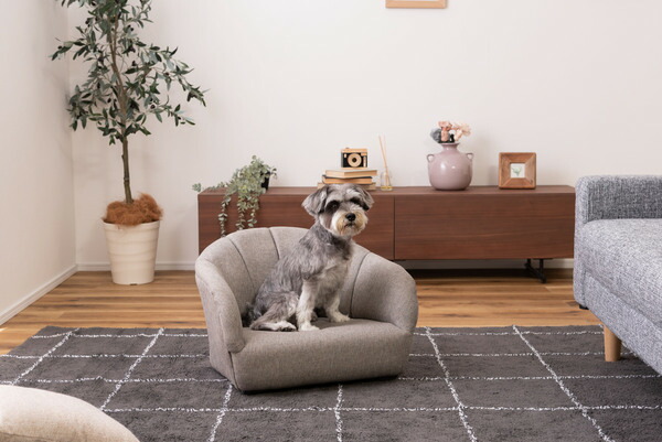 AZUMAYA ペットソファ PET-71GY 完成品 約W55×D50×H37×SH15.5  送料無料_1