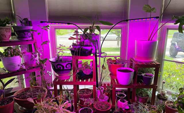 植物育成ライト LED植物育成灯 室内栽培ランプ 3つ照明モード 9段階調