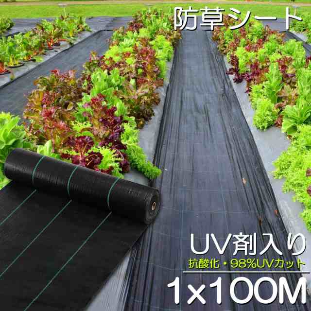 除草シート 防草シート 雑草シート 1m×100m 固定 紫外線劣化防止-