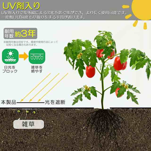 防草シート 100m X 2m 除草シート 園芸用シート 雑草シート UV剤入り