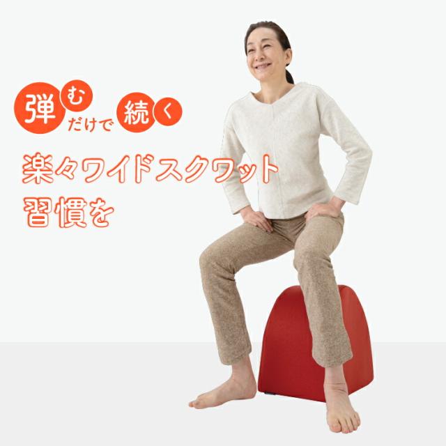 ワイドスクワットホッパー エクササイズ ワイドスクワット ストレッチ お腹 お尻 背中 太もも KANAMI 運動 簡単 トレーニング プレゼント セール PROIDEA プロイデア ドリーム 送料無料
