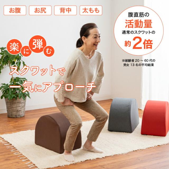 ワイドスクワットホッパー エクササイズ ワイドスクワット ストレッチ お腹 お尻 背中 太もも KANAMI 運動 簡単 トレーニング プレゼント セール PROIDEA プロイデア ドリーム 送料無料_1