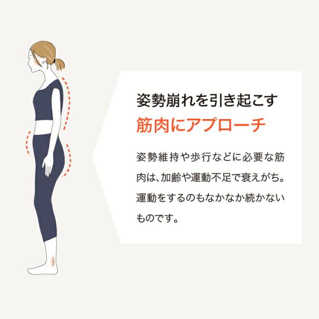 ワイドスクワットホッパー エクササイズ ワイドスクワット ストレッチ お腹 お尻 背中 太もも KANAMI 運動 簡単 トレーニング プレゼント セール PROIDEA プロイデア ドリーム 送料無料_4