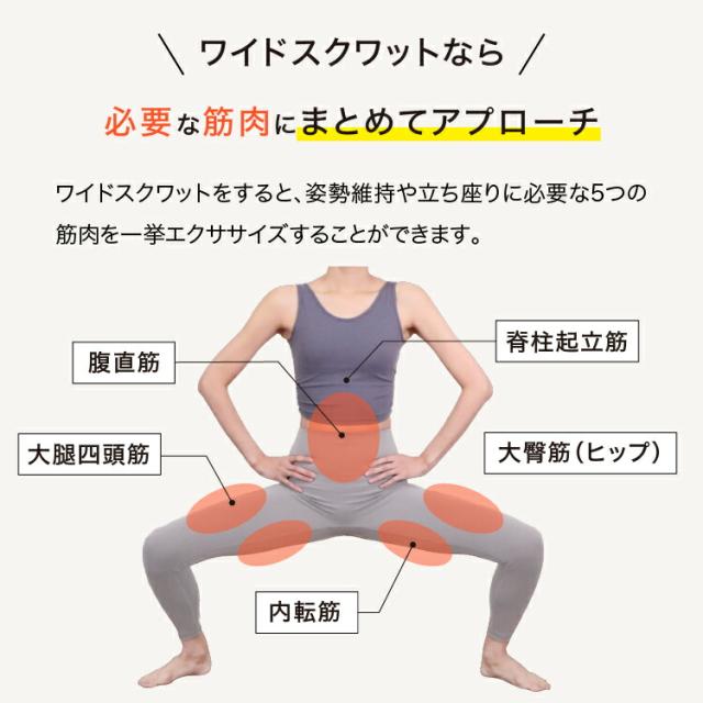 ワイドスクワットホッパー エクササイズ ワイドスクワット ストレッチ お腹 お尻 背中 太もも KANAMI 運動 簡単 トレーニング プレゼント セール PROIDEA プロイデア ドリーム 送料無料_5