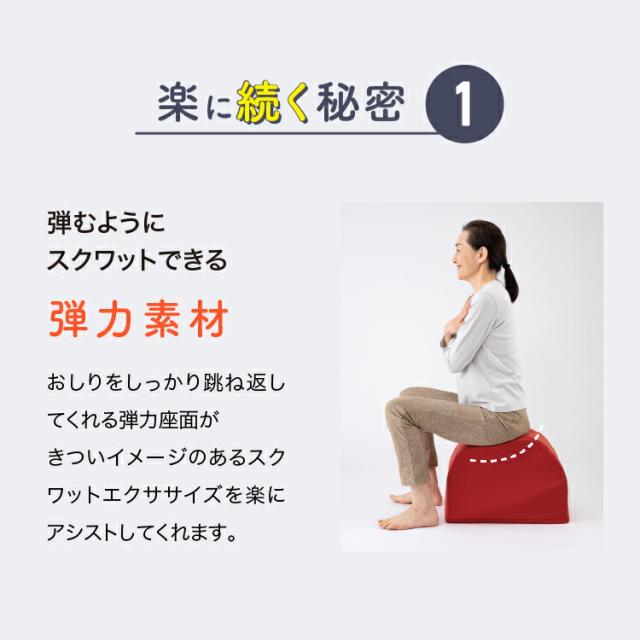 ワイドスクワットホッパー エクササイズ ワイドスクワット ストレッチ お腹 お尻 背中 太もも KANAMI 運動 簡単 トレーニング プレゼント セール PROIDEA プロイデア ドリーム 送料無料_6