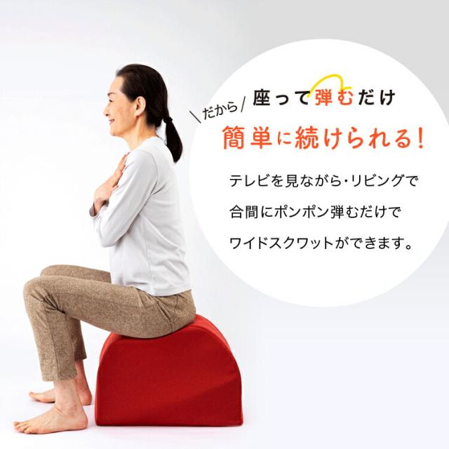 ワイドスクワットホッパー エクササイズ ワイドスクワット ストレッチ お腹 お尻 背中 太もも KANAMI 運動 簡単 トレーニング プレゼント セール PROIDEA プロイデア ドリーム 送料無料_7