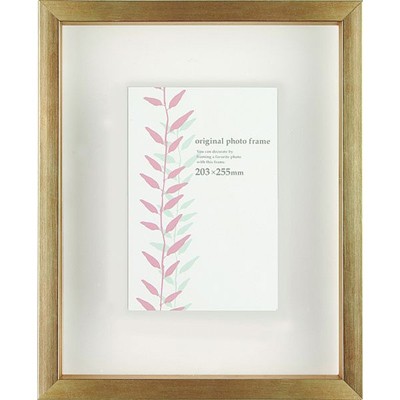 クリアボックスフレーム シャンパンゴールド 太子サイズ (288×379mm)  APJ アートプリントジャパン