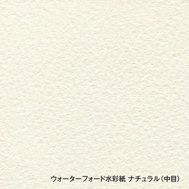 3冊セット ウォーターフォード水彩紙 ナチュラル ブロック 300g 中目 EB-F8 (270915)_2